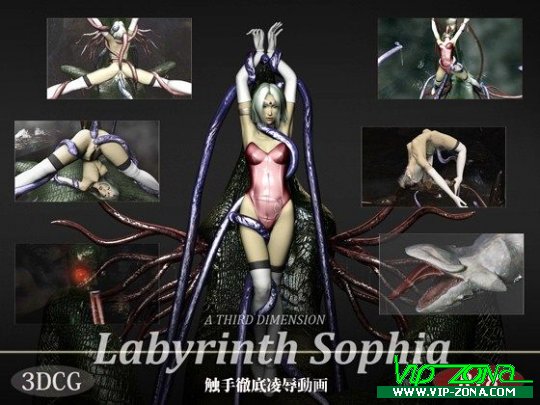 [3D FLASH] Labyrinth Sophia